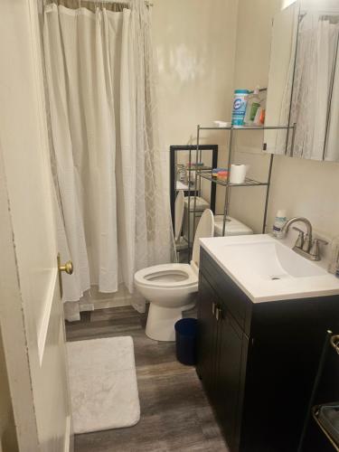 a bathroom with a toilet and a sink at Plantlife LLC A in Minneapolis
