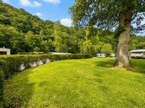 a park with a tree and a grass field at Camping La Lienne in Stoumont