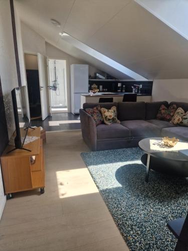 ein Wohnzimmer mit Sofa und Tisch in der Unterkunft Cozy apartment Sofia in Fjälkinge
