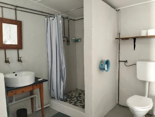 a bathroom with a shower and a sink and a toilet at Kapokbos in Sutherland