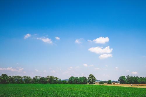 Gallery image of Schweiger's Landgasthof in Wartenberg