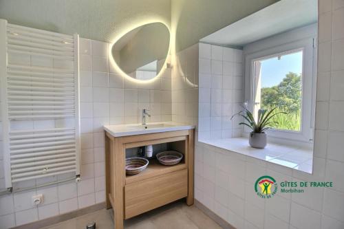a bathroom with a sink and a mirror at La grée des dinosaures in Saint-Gravé