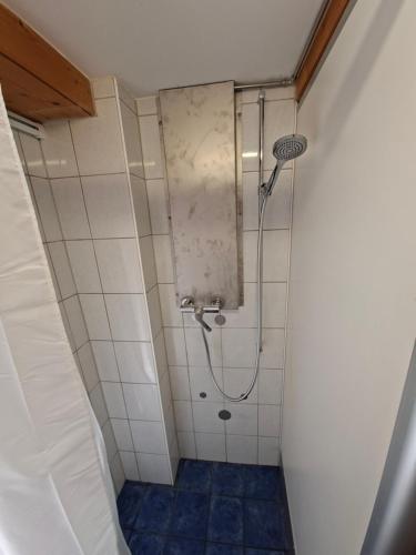 a bathroom with a shower with a shower head at Braui Pub and Restaurant in Waldenburg