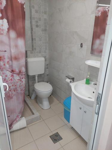 a bathroom with a toilet and a sink at Motel Biamin in Tăşnad