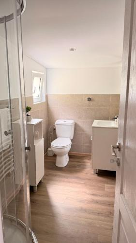 a bathroom with a toilet and a sink at Vraja din deal in Domneşti
