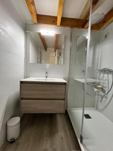 a bathroom with a sink and a shower at T1 bis 200m du port in La Trinité-sur-Mer