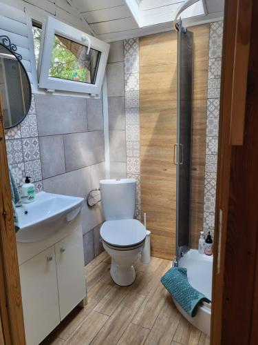 a bathroom with a toilet and a sink and a shower at Retro domki nad Wkrą in Kosewko