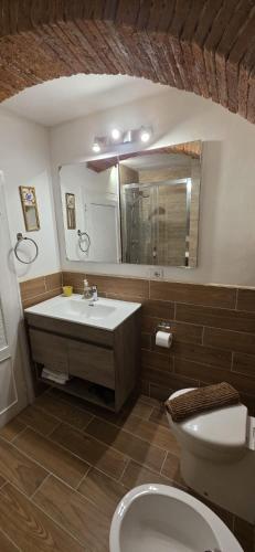 ein Badezimmer mit Waschbecken, Toilette und Spiegel in der Unterkunft La Volta Garibaldi in Barga