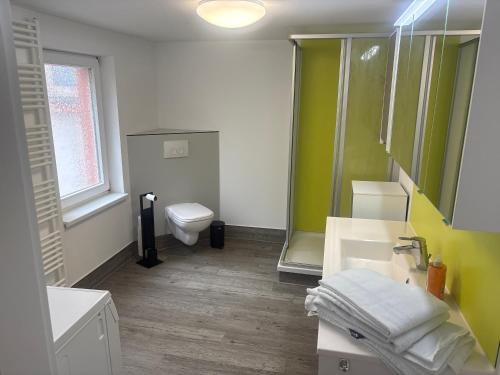 a bathroom with a toilet and a sink and a mirror at Gästehaus Graupner-Hainichen in Hainichen