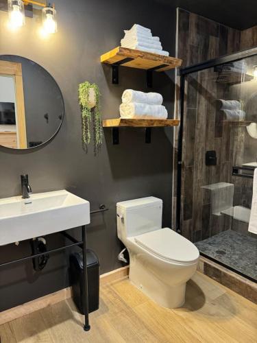 a bathroom with a toilet and a sink and a shower at Tiny Cabin #3 at The Cedars in Kanab