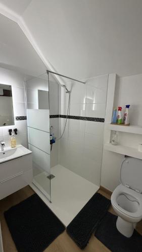 a white bathroom with a shower and a toilet at Le Pétillant in Cramant