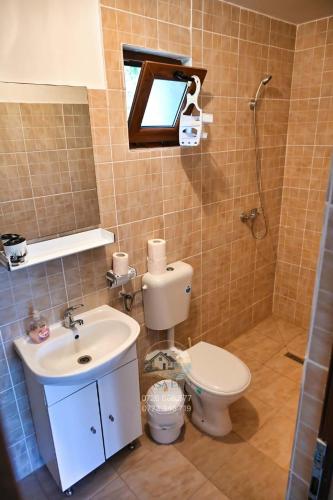 a bathroom with a toilet and a sink and a mirror at Casa EBO in 2 Mai