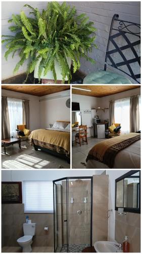 a collage of four pictures of a hotel room at Lourette se Plek in Sannieshof