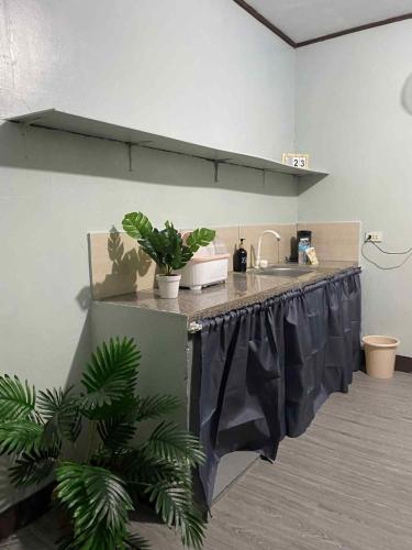 a kitchen with a counter with plants on it at Frogman inn in Puerto Princesa City