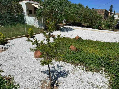 a small tree in the middle of a driveway at Anemolia Tiny Stone House in Palekastron