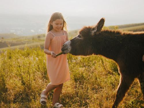a little girl is feeding a baby donkey at Pik Talgar Eco Village in Talghar