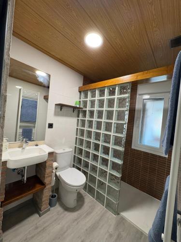 a bathroom with a toilet and a sink at El Rincón De Tere in Riaza
