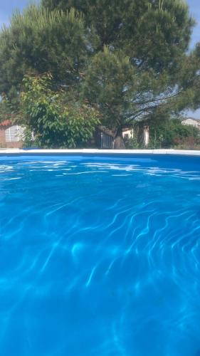 a pool of blue water with a tree in the background at Au Petit Paradis in Balan