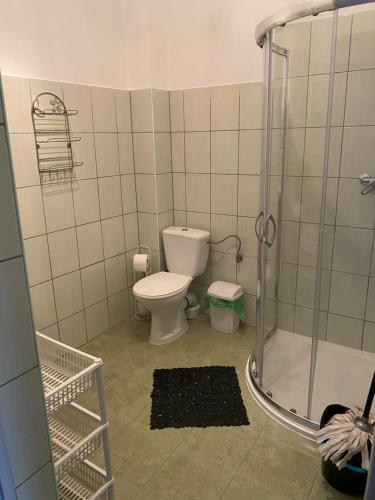 a small bathroom with a toilet and a shower at Rozalia in Stary Borek