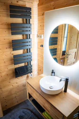 a bathroom with a sink and a mirror at Taunus Tinyhouse - Sauna, Grillplatz & Naturidylle in Weilrod