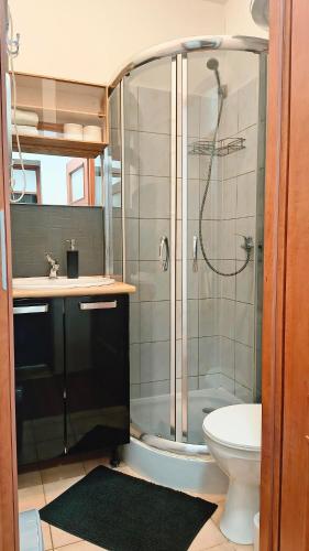 a bathroom with a shower and a toilet at Chrobry Square - Art Apartament in Gorzów Wielkopolski
