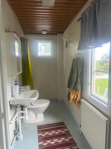 a small bathroom with a toilet and a sink at Retro hus in Kosta