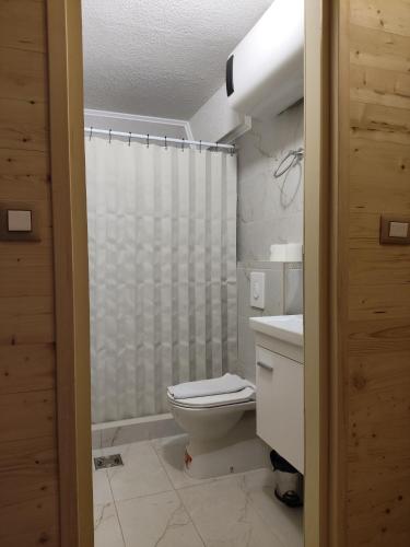 a bathroom with a toilet and a shower at Apartments & Rooms Bojic in Kolašin