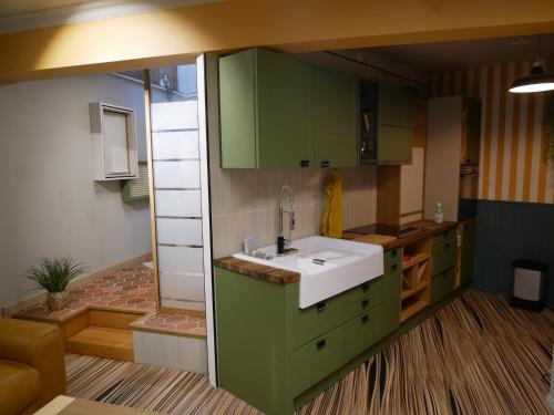 a kitchen with green cabinets and a white sink at L Atelier Secret in Guebwiller