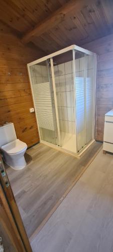 a bathroom with a toilet and a glass door at O Meu Retiro in Carrapatelo