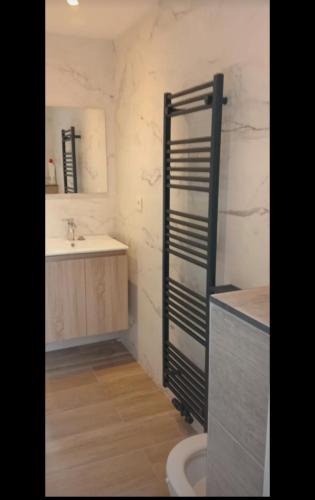 a bathroom with a toilet and a sink at Kamer Zwijnaarde in Ghent