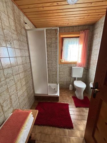 a bathroom with a shower and a toilet and a window at Almhütte Astental in Vordere Asten