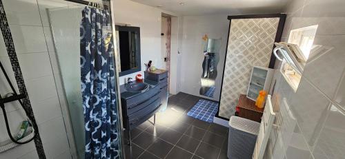 a bathroom with a blue sink and a shower at AMCP Gîte - Montgiscard in Montgiscard