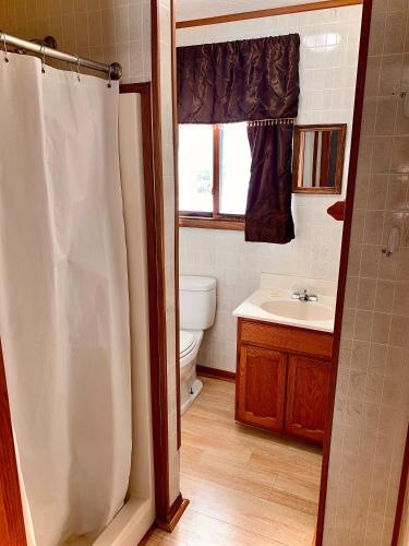 a bathroom with a toilet and a sink at Benzonia Rustic Resort in Benzonia