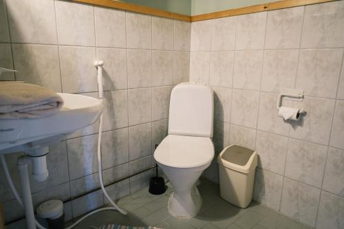 a bathroom with a white toilet and a sink at Faffas in Österretais