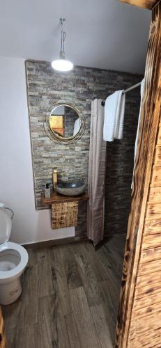 a bathroom with a sink and a toilet and a mirror at lazy trout house in Criva