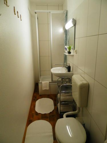 コンツにあるSaar-Mosel-Talの小さなバスルーム(トイレ、シンク付)
