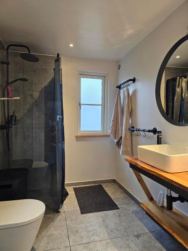 a bathroom with a shower and a toilet and a sink at NordNest in Frederiksværk