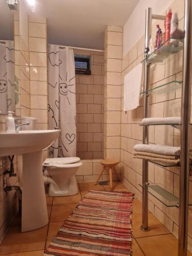a bathroom with a sink and a toilet and a shower at Casa Cuca Macai in Lăunele