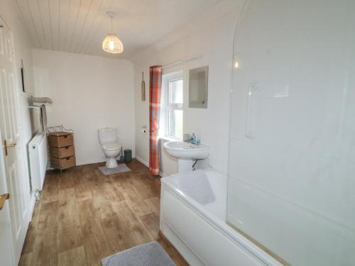 a bathroom with a shower and a sink and a toilet at Shaws Hill Farmhouse in Ballymena