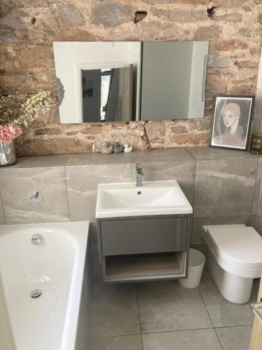 a bathroom with a sink and a toilet and a mirror at Sommersway Cottage in Torquay