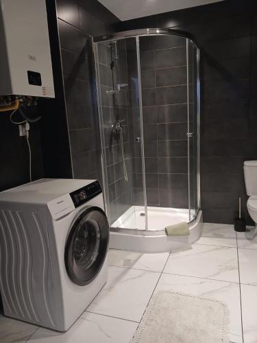 a washing machine in a bathroom with a shower at Apartamenty Stare Miasto Boho Parking in Nowy Sącz
