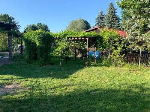 a garden with a pergola in the grass at Dacza Warmińska, domek letniskowy na jeziorem in Sząbruk