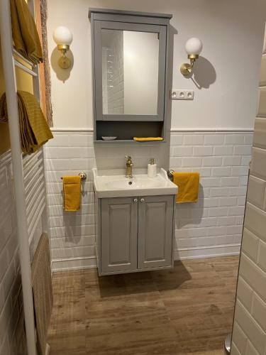 a bathroom with a sink and a mirror at Reetglück in Haseldorf