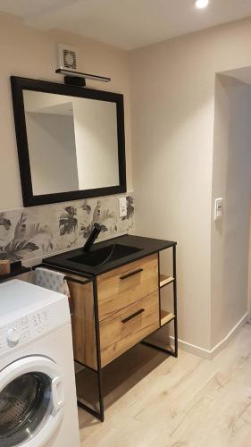 a bathroom with a sink and a washing machine at studio in Saint-Georges-de-Luzençon