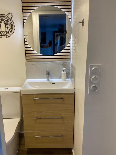 a bathroom with a sink and a mirror at Studio vieille porte in Hombourg-Haut