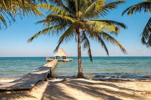 a palm tree on a beach with a pier at Condo #31 @ Beachside Villas in Placencia