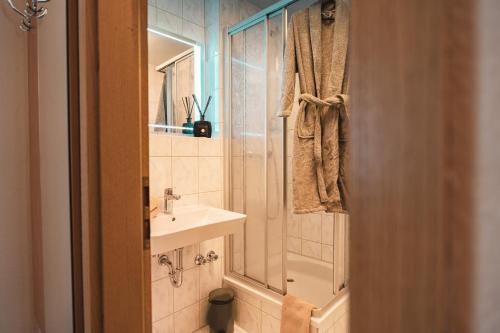 a bathroom with a shower and a sink at Filet & Freunde in Oelsnitz
