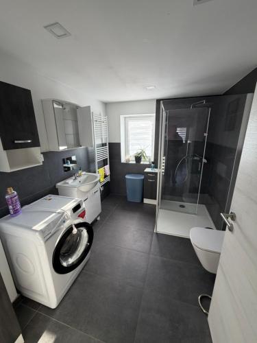 a bathroom with a washing machine and a sink at Dorfquartier am Gut in Remstädt