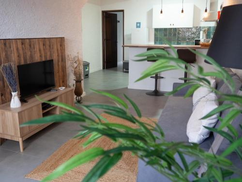Concha Beach House