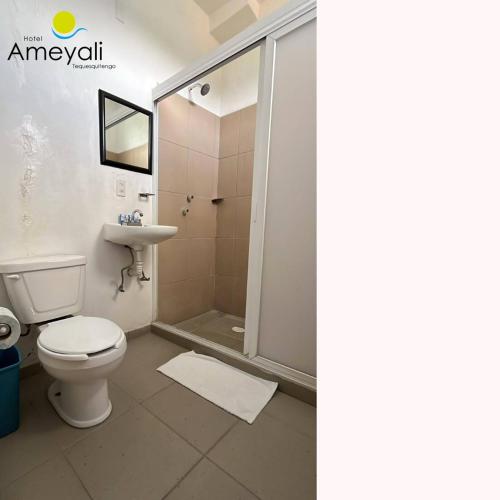 a bathroom with a toilet and a shower and a sink at Ameyali Teques in Tequesquitengo